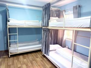 The Mango Tree Backpackers Hostel