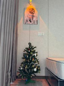 CSJ House Vũng Tàu