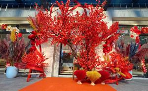 Halong Sapphire Seaview