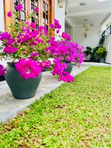 Frans Luxurious Villa