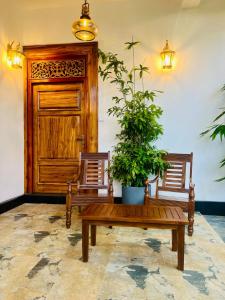 Frans Luxurious Villa