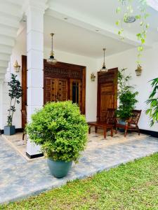 Frans Luxurious Villa