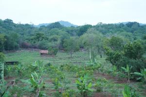Unawa Retreat