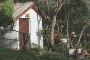 Peaceful Stream Coffee - Homestay