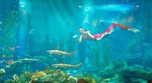 Alices home Times city