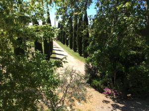 B&B / Chambres d'hotes Mas du Puits d'Amour : photos des chambres