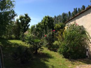 B&B / Chambres d'hotes Mas du Puits d'Amour : photos des chambres