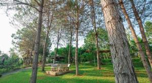 Raisongrao Resort Khao Kho