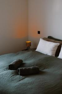 La Petite Foret Stylish City Apartment Ghent