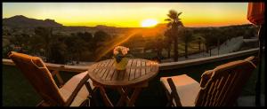 01 Loft Alenda Golf