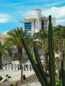 01 Loft Alenda Golf