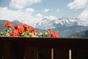 Chalet Rich appartments