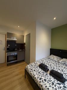Le 9 - Joli studio neuf, tout équipé Mulhouse centre - Stationnement gratuit