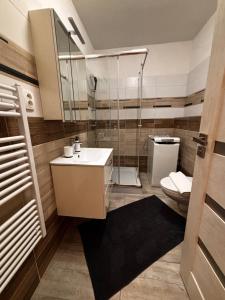 Apartmán CENTRAL, free parking