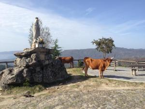 Cantinho Redondo Gerês