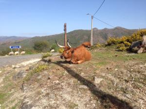 Cantinho Redondo Gerês