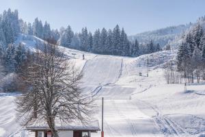 Appartements Stockinger A1