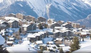 Nendaz Alpine Studio - Ski & Swimming Pool