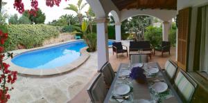 YourHouse Estrelitzia