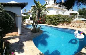 YourHouse Estrelitzia