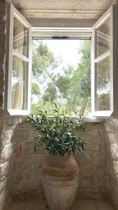 Loukas house Paxos