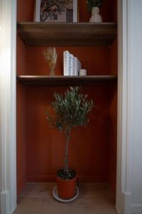 LÉcrin de la Piétonne