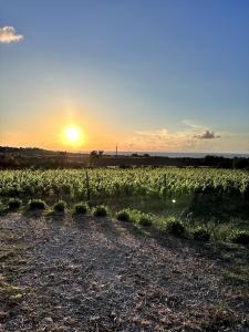 Daniel's House img25