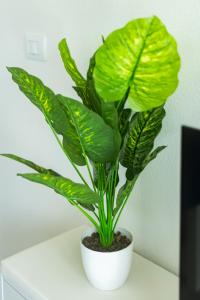 Affittimoderni Castelsardo - Boutique img24