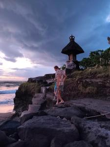 Pigstone Design Studios Beachfront