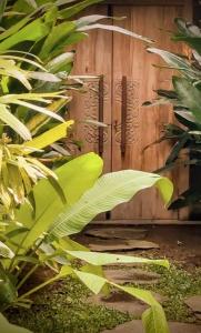 Pigstone Design Studios Beachfront