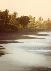 Pigstone Design Studios Beachfront