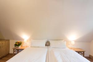Apartments Romantik Hotel Alte Münze