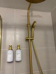 Appartement cosy au centre-ville