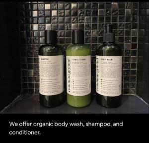 Luxurious Upscale Downtown Apartment