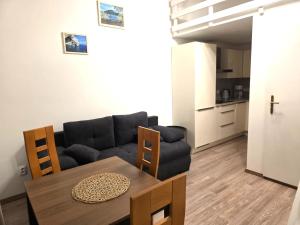 Small studio with loft bed