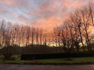 La guinguette du lavoir - Chambre dhôte verte