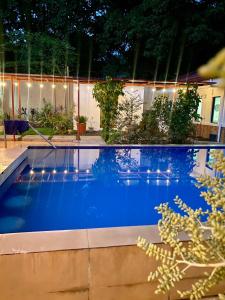Spacious villa with pool, billiard, bbq & bonfire