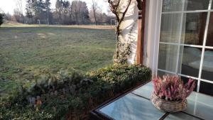 Ferienwohnung Heidebiene