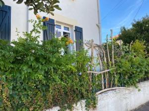 Cocon T2 Biarritz Beaurivage avec Extérieur