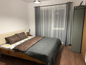 Central Boutique Apartment