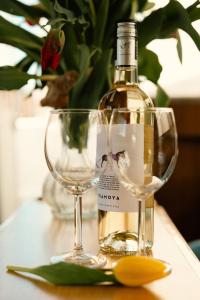 Unique houseboat city center Greuns