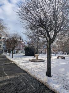 Haus am Wald Radlerrast