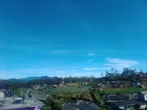 Ambewela Pattipola snowflak rest