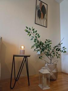 Renovated Calm Apartment Close to Center and Free Parking