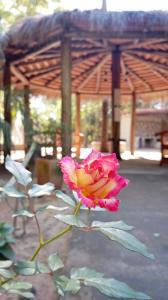 Cabaña Karaja - Cabaña Paso de Patria