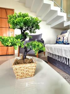 Apê espaçoso c terraço e àrea gourmet