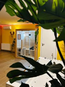 Le Bovary Hotel Suite Safari