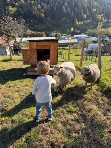 La Clé des Champs - Le loft - Jacuzzi Privée