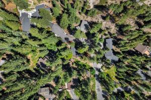 Little Bridge Lodge - Storybook Stateline Oasis