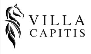 Villa Capitis in the Centre- Luxury apartment with Swimming Pool